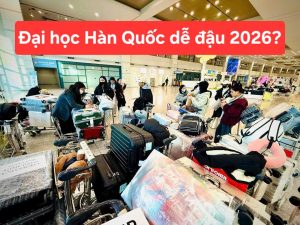 37 dai hoc han quoc de dau 2026 1772278604