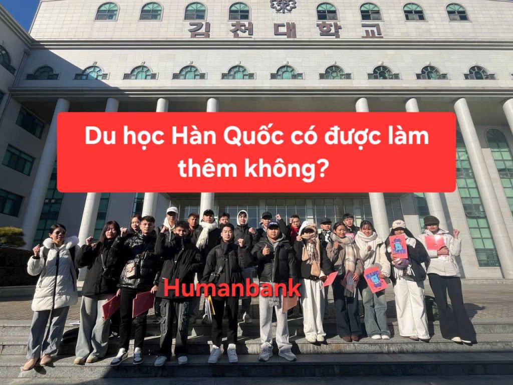 38 du hoc han quoc co duoc lam them khong 1772278982
