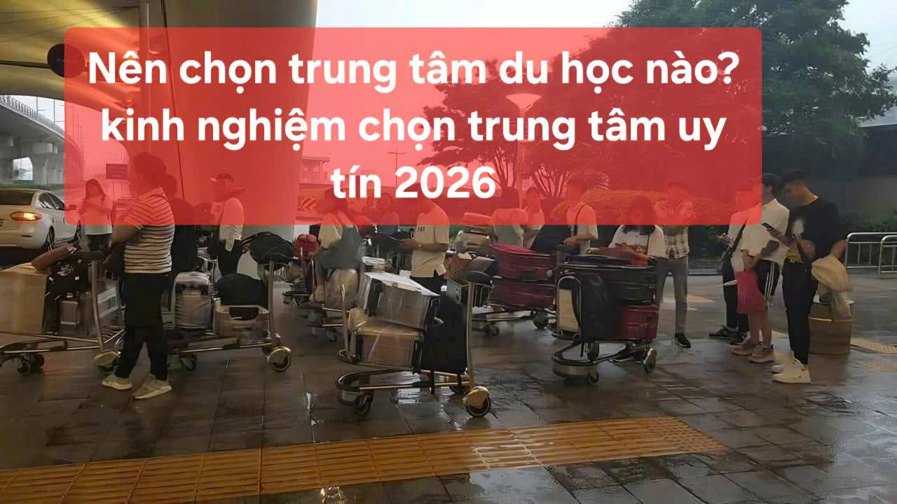 49 nen chon trung tam du hoc nao 1772286660