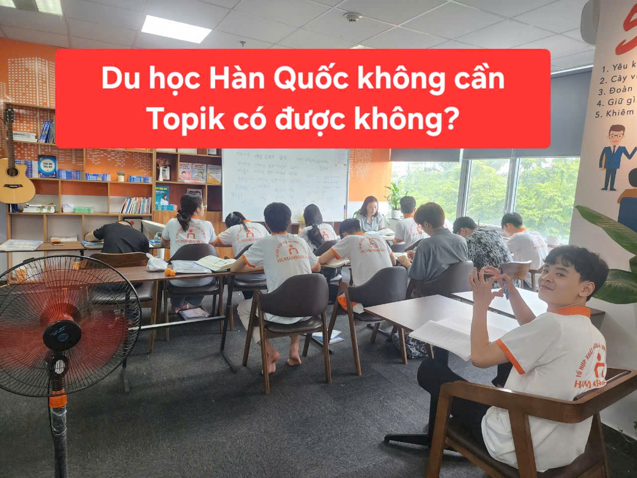 50 du hoc han quoc khong can topik co duoc khong 1772287016