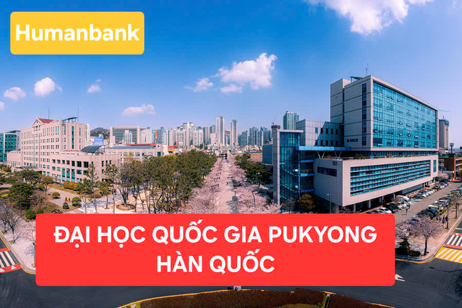 pukyong 1770223706 1770525972