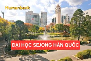 sejong 1770219376 1770526296