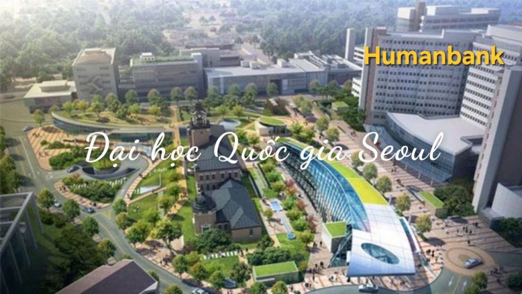 seoul 1770218706 1770526319