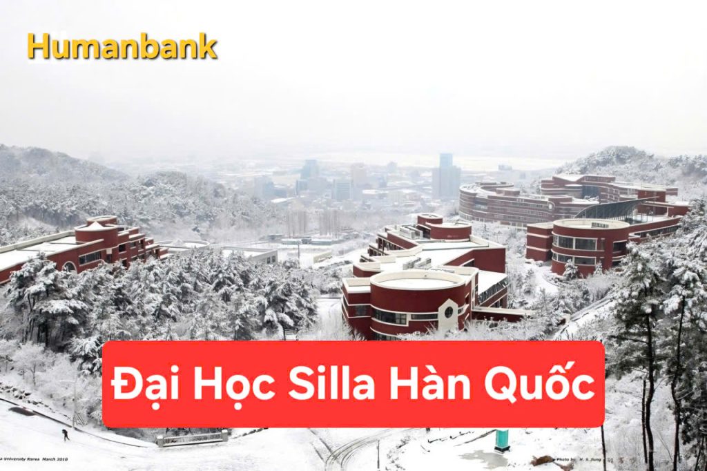 Trường Đại học Silla Hàn Quốc (Silla University) - 신라대학교 1 silla 1770220343 1770526247