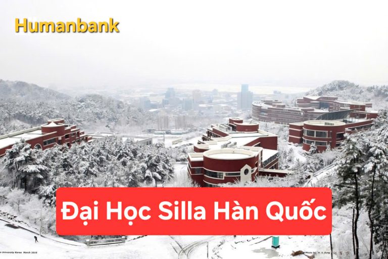 Trường Đại học Silla Hàn Quốc (Silla University) – 신라대학교
