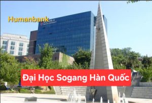 sogang 1770221059 1770526228