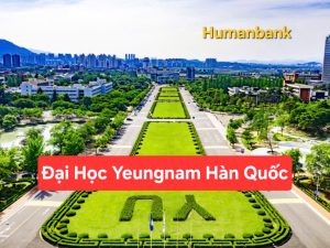 yeungnam 1770222347 1770526161