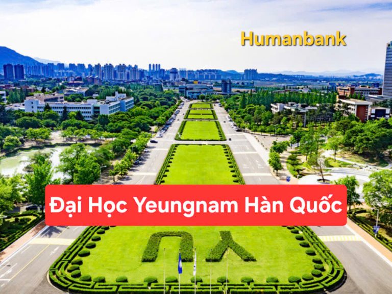 Trường Đại học Yeungnam Hàn Quốc (Yeungnam University) – 영남대학교