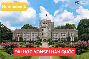 yonsei 1770222598 1770526148