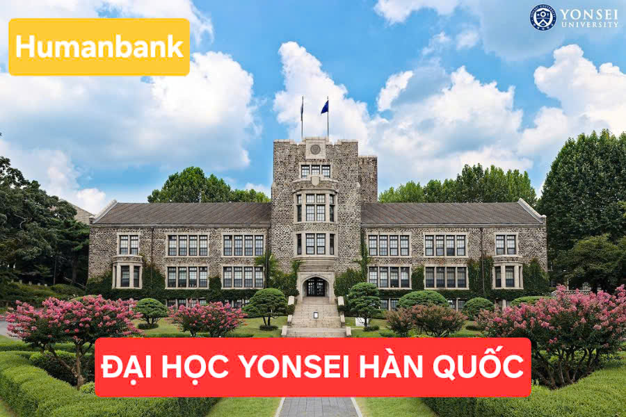 yonsei 1770222598 1770526148