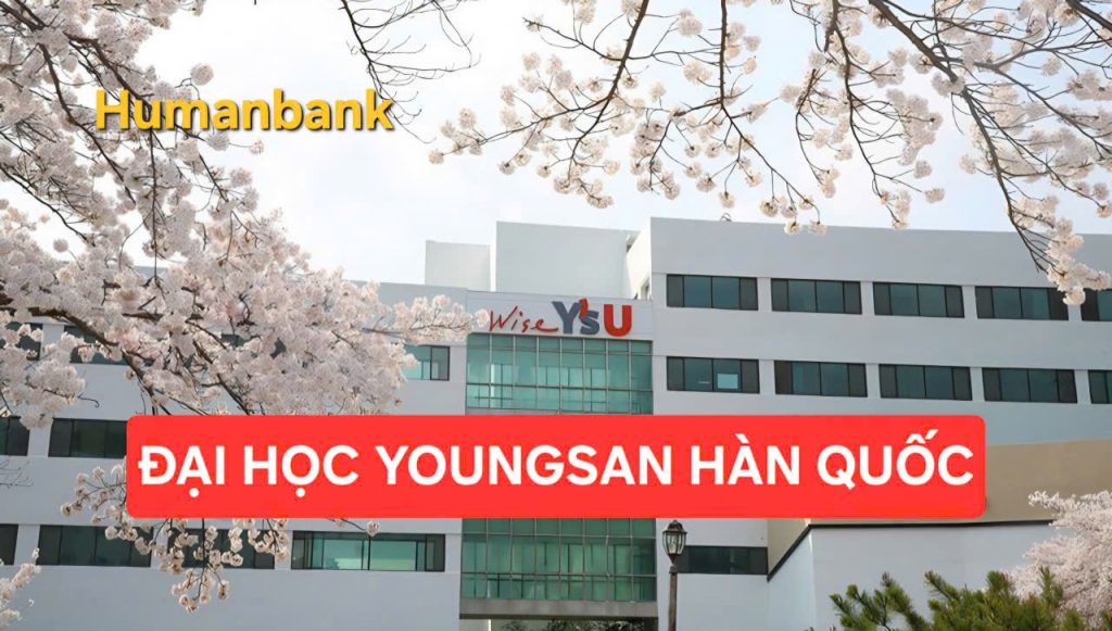 youngsan 1770222812 1770525898 1770526110