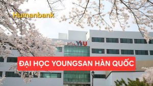 youngsan 1770222812 1770525898 1770526110