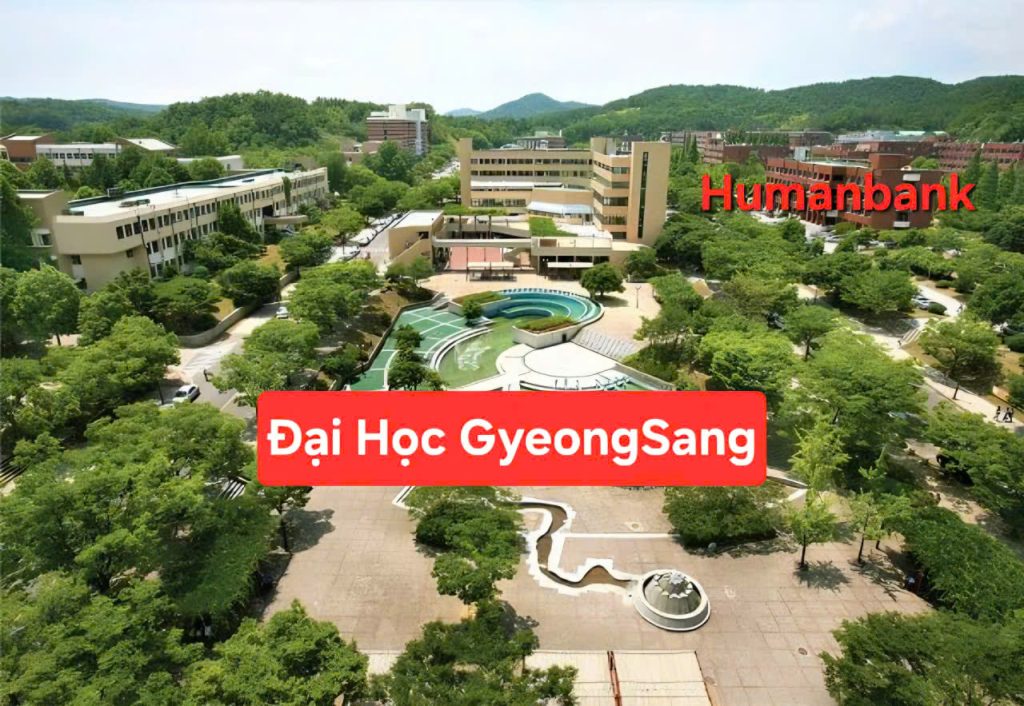 109 dai hoc quoc gia gyeongsang 1774686642