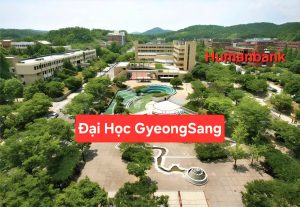 109 dai hoc quoc gia gyeongsang 1774686642