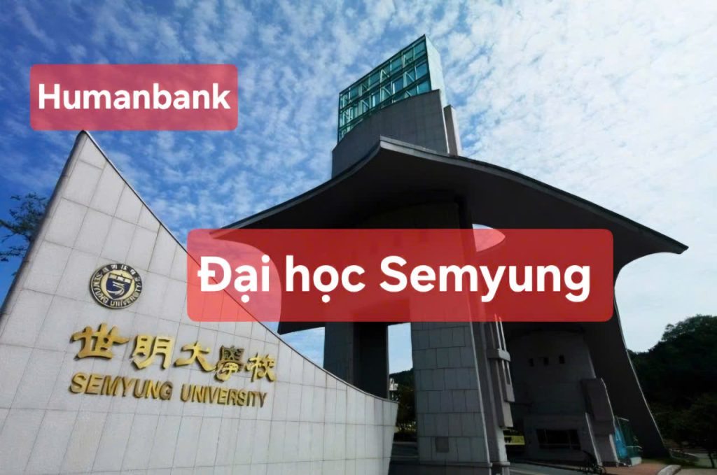 47 dai hoc semyung 1774347406