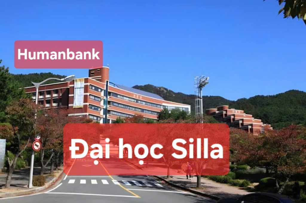 49 dai hoc silla 1774347972