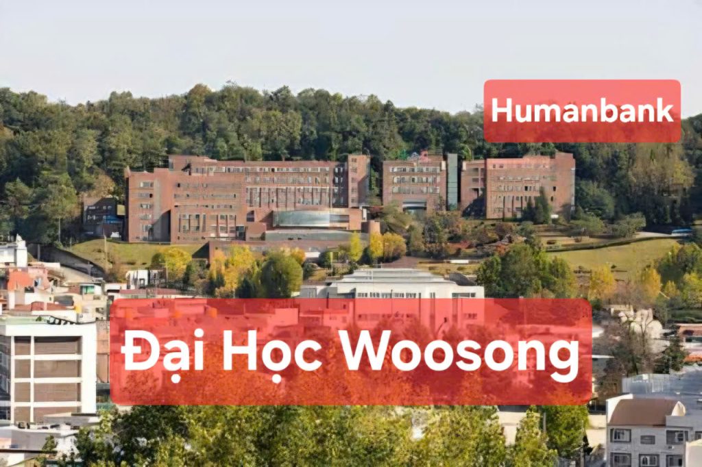 Đại học Woosong - 우송대학교 1 54 dai hoc woosong 1774349354