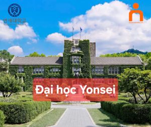 56 dai hoc yongsei 1774349812
