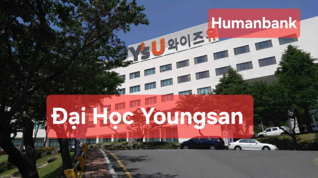 57 dai hoc youngsan 1774350016