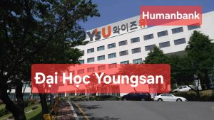 57 dai hoc youngsan 1774350016