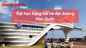 60 dai hoc hang hai va dai duong han quoc 1774351085