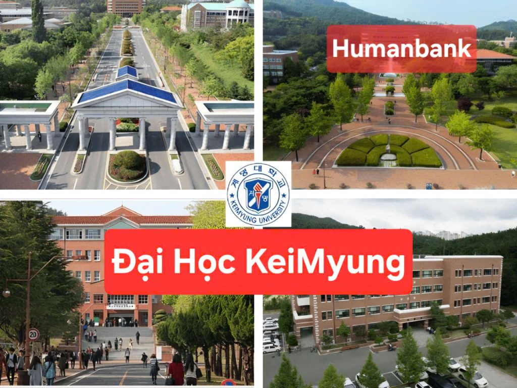 Trường Đại học Keimyung - 계명대학교 3 72 dai hoc kyemyung 1774611711