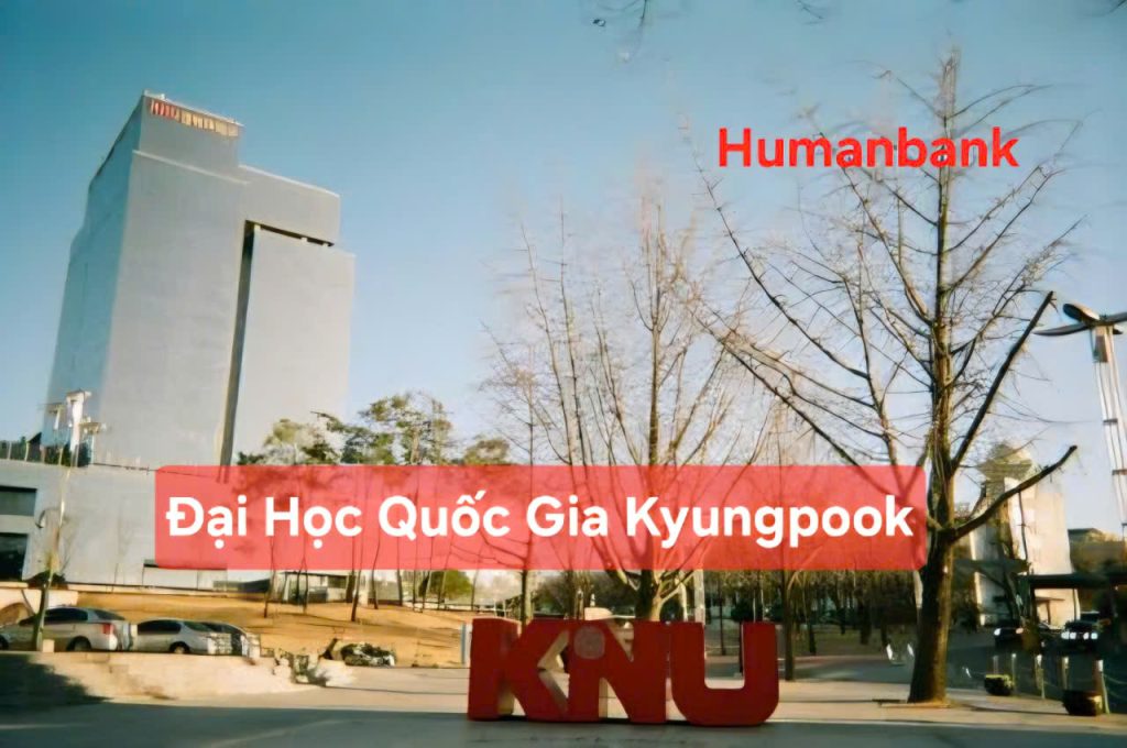 Trường Đại học Quốc gia Kyungpook - 경북대학교 3 77 dai hoc quoc gia kyungpook 1774611889