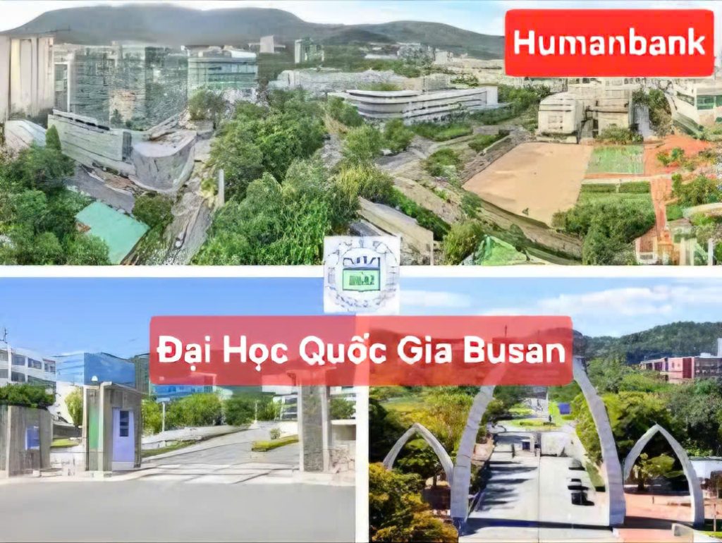 Trường Đại học Quốc gia Pusan - 부산대학교 2 78 dai hoc quoc gia busan 1774611968