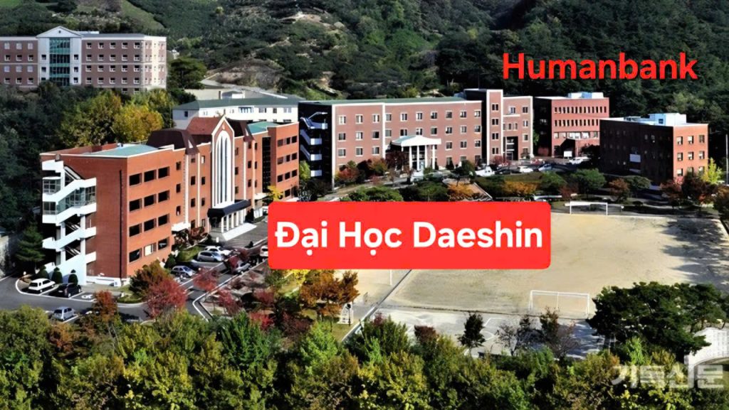 102 dai hoc daeshin 1774683663