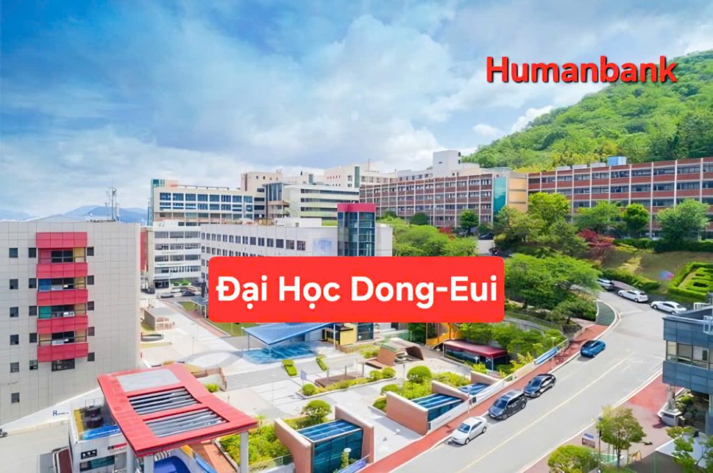 103 dai hoc dongeui 1774683952