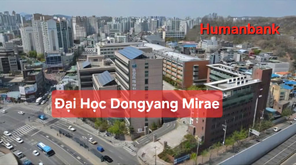 104 dai hoc dongyang mirae 1774684297