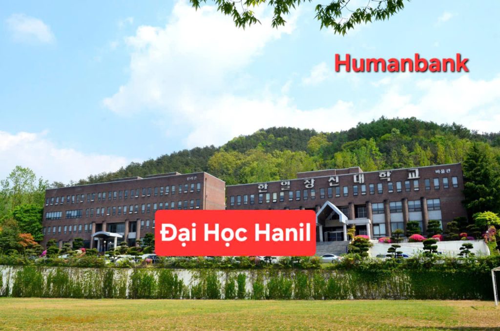 110 dai hoc hanil 1774686998