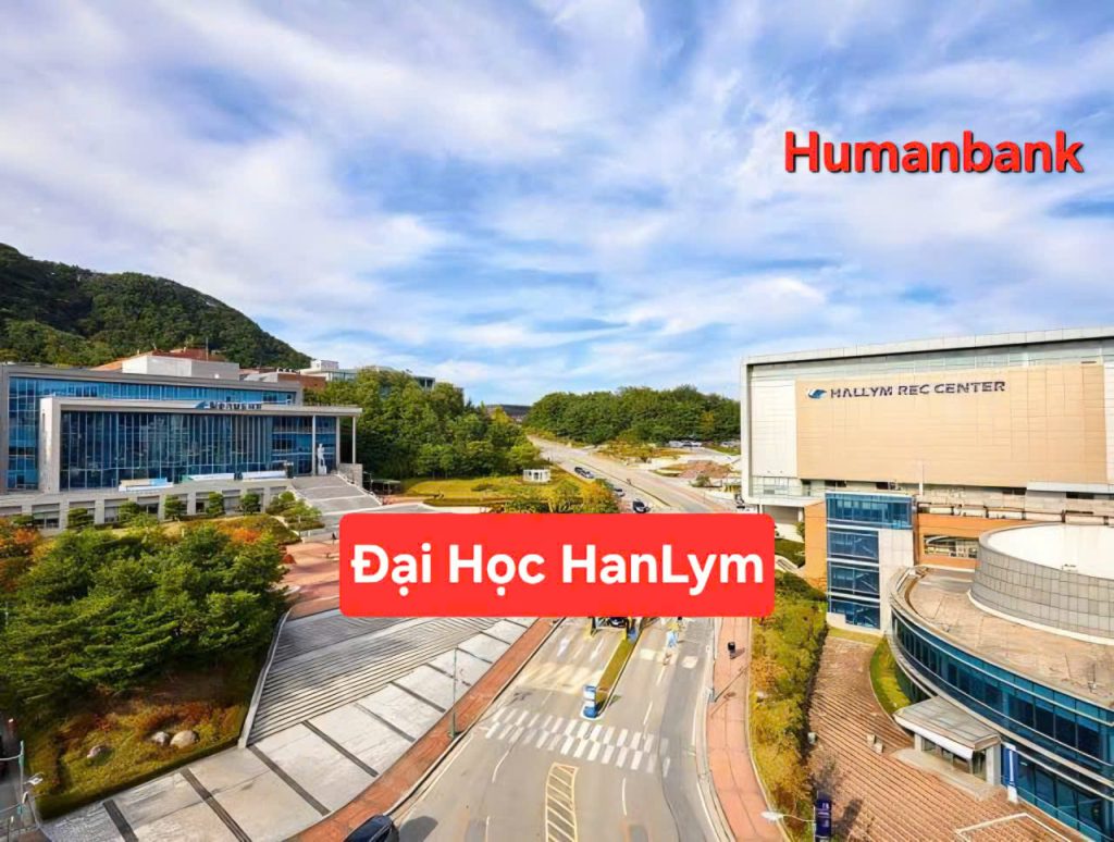 111 dai hoc hanlym 1774687242