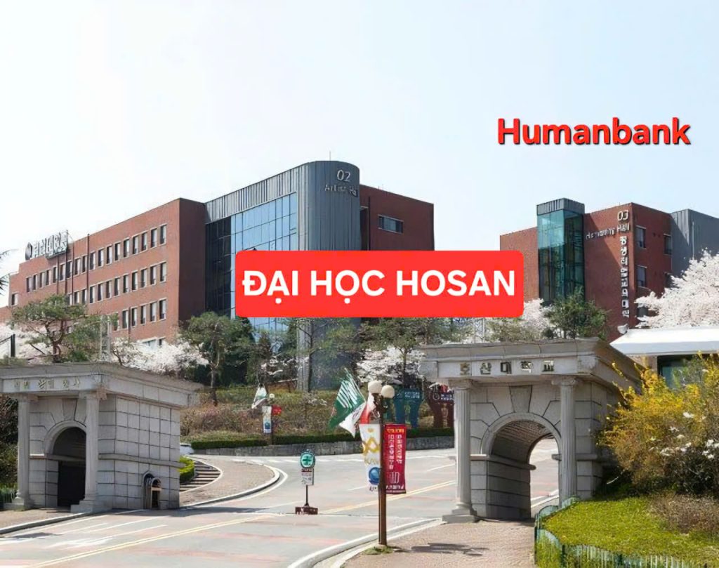 116 dai hoc hosan 1774688376