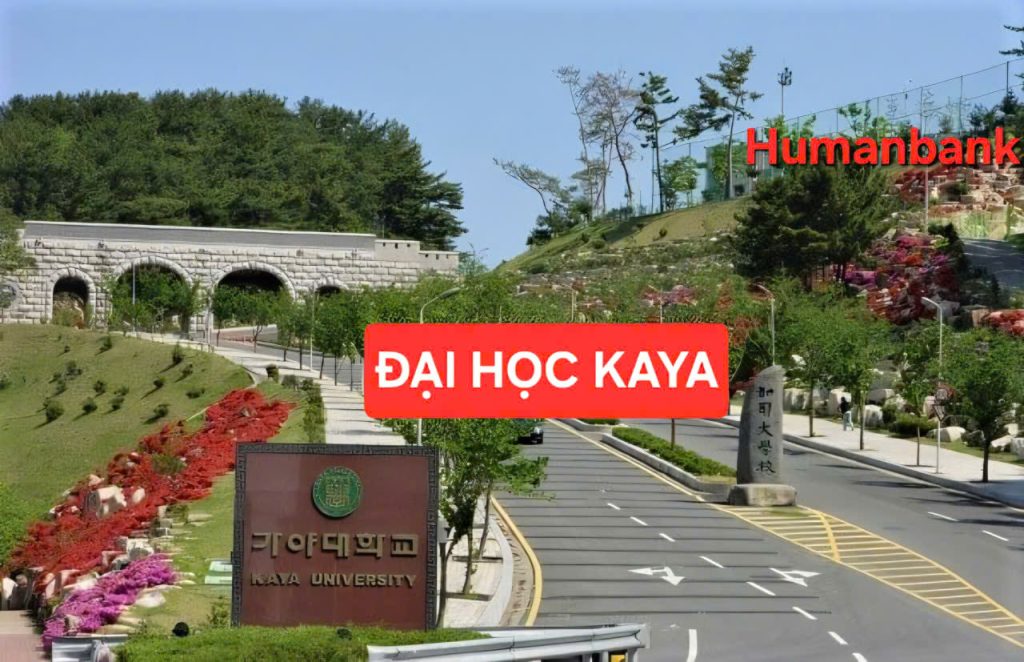 Đại học Kaya - 가야대학교 1 123 dai hoc kaya 1774689918