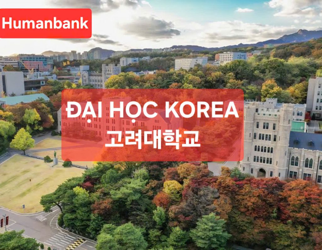 126 dai hoc korea 1774690777