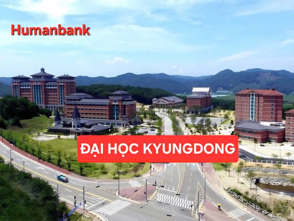 128 dai hoc kyungdong 1774691291