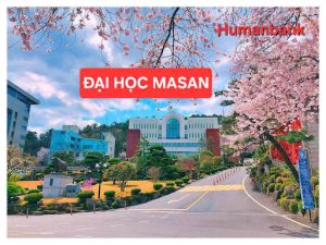 131 dai hoc masan 1774692123