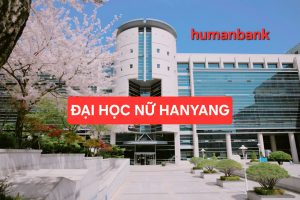 133 dai hoc nu hanyang 1774692506