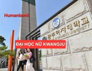 134 dai hoc nu kwangju 1774692703