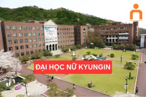 135 dai hoc nu kyungin 1774692891