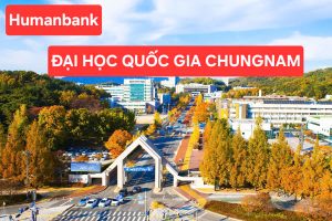 141 dai hoc quoc gia chungnam 1774694363