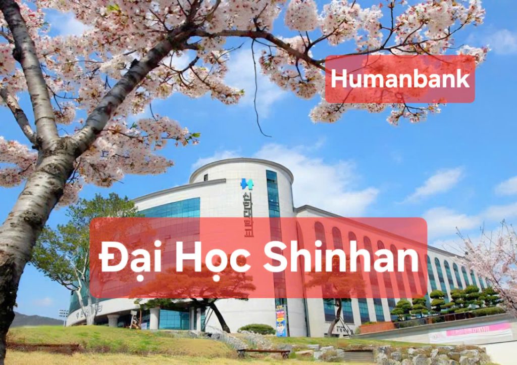 48 dai hoc shinhan 1774347694