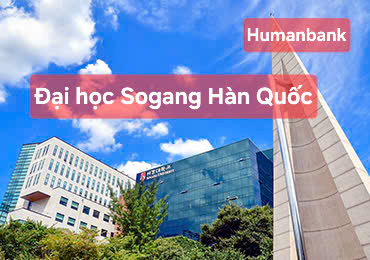 50 dai hoc sogang 1774348230 1