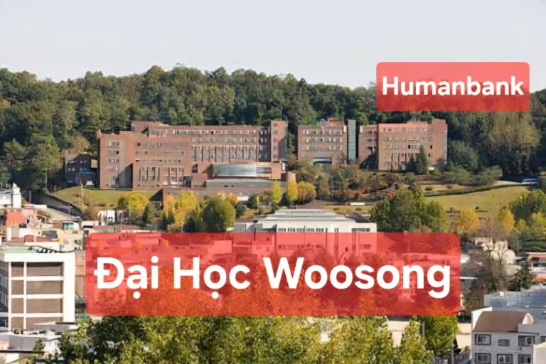54 dai hoc woosong 1774349354