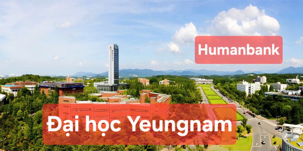 55 dai hoc yeungnam 1774349583