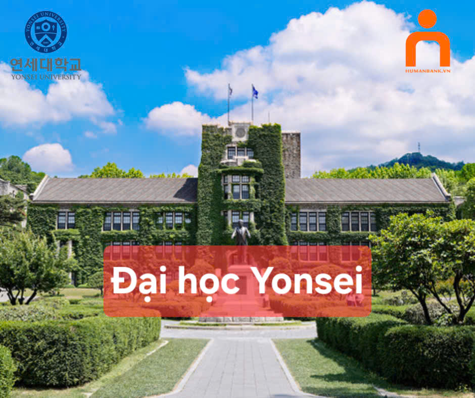 56 dai hoc yongsei 1774349812