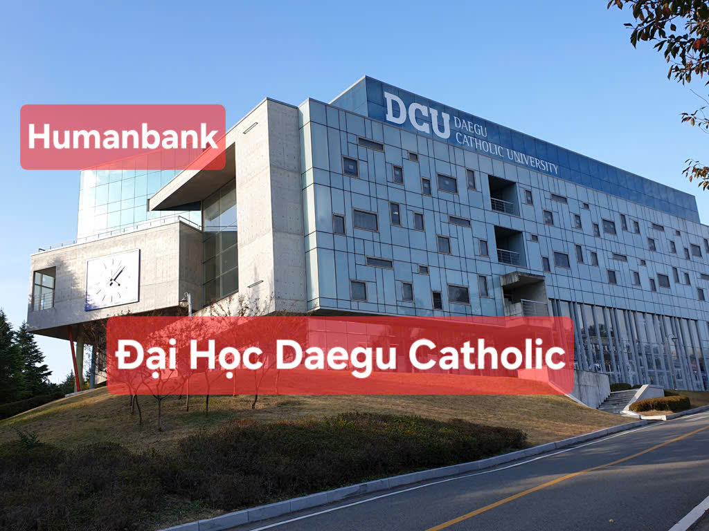 66 dai hoc daegu catholik 1774611538