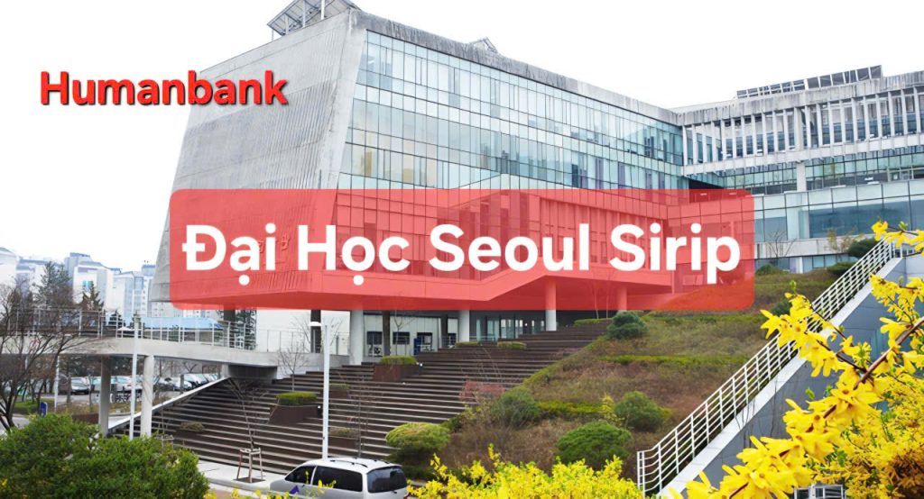 80 dai hoc seoul sirip 1774613279