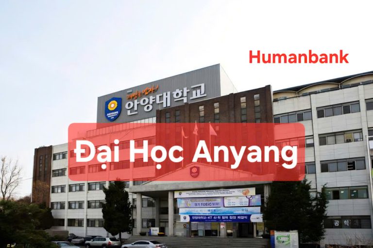 89 dai hoc anyang 1774616148